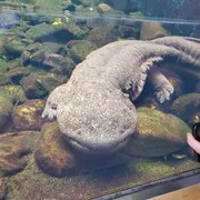 プロフィールアイコン